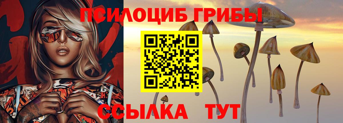 Псилоцибиновые грибы Psilocybine cubensis  Вход с VPN  Галлюциногенные грибы Psilocybine cubensis  Сокол 